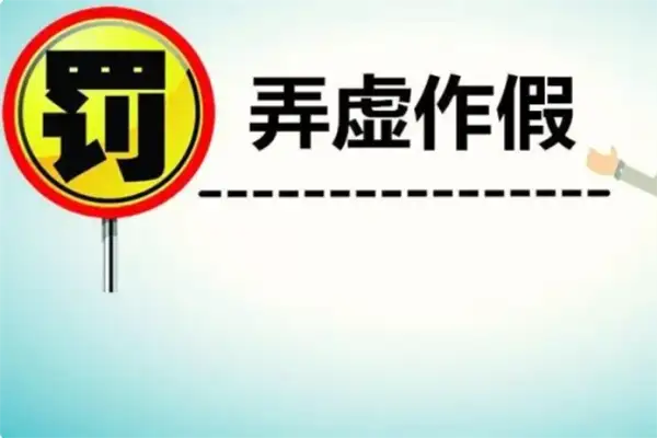 1671763316957032.webp 弄虚作假情形